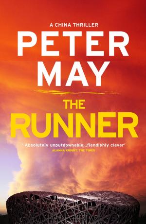 Cover of the book The Runner by Ali Monaghan