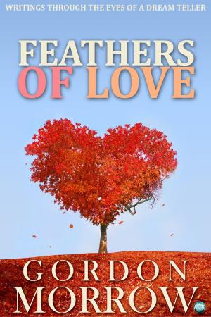Cover of the book Feathers of Love by Jenny Manson