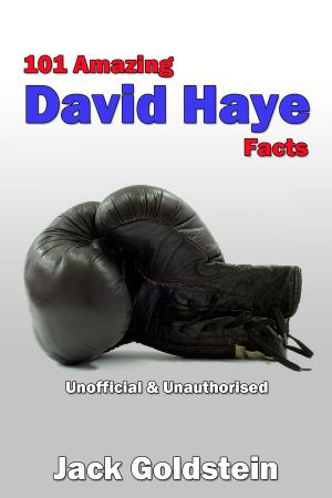 Book cover of 101 Amazing David Haye Facts