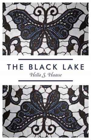 Cover of the book The Black Lake by Miriam Leonard