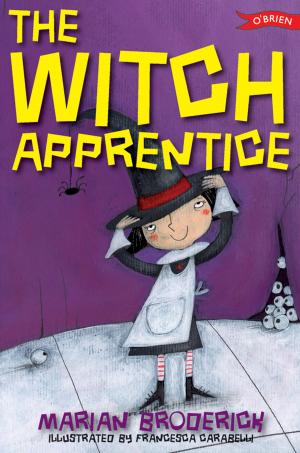Cover of the book The Witch Apprentice by Honor O Brolchain