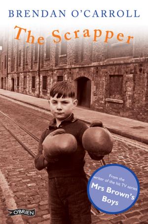 Cover of the book The Scrapper by Brianóg Brady Dawson, Alan Nolan