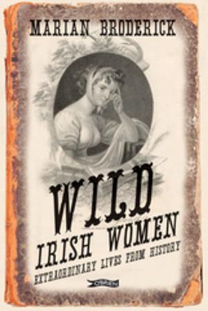 Cover of the book Wild Irish Women by Brian O'Connell