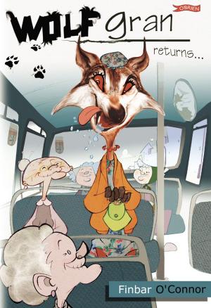 Cover of the book Wolfgran Returns by Siobhán Parkinson