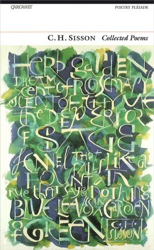 Cover of the book Collected Poems by David Morley