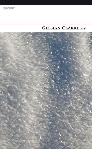Cover of the book Ice by Gillian Clarke