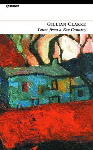 Book cover of Letter from a Far Country