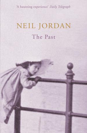 Cover of the book The Past by Jonathan Clements