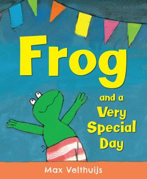 Book cover of Frog and a Very Special Day