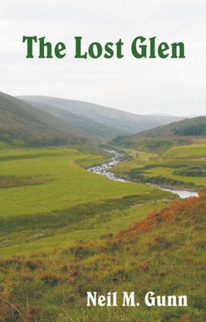 Cover of the book The Lost Glen by Rod Macdonald