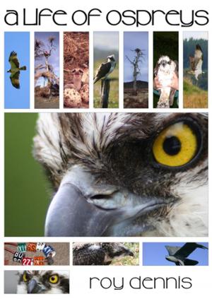 Cover of A Life of Ospreys