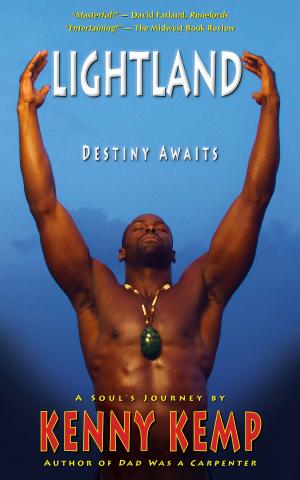 Book cover of Lightland