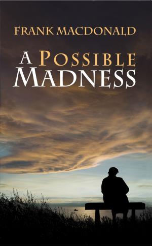 Cover of the book A Possible Madness: A Novel by Robert A. Campbell, PhD