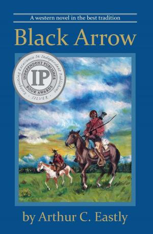 Book cover of Black Arrow