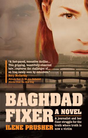 Cover of the book Baghdad Fixer by Ritchie Robertson