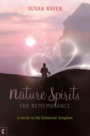 Cover of the book Nature Spirits: The Remembrance by Jesaiah Ben-Aharon