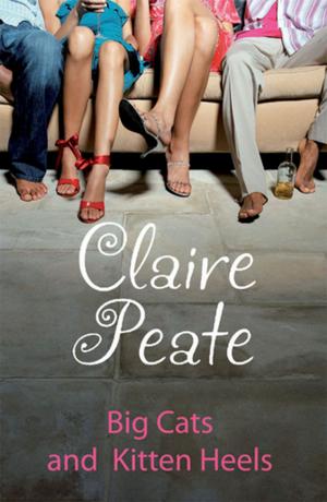 Cover of the book Big Cats and Kitten Heels by Claire Peate