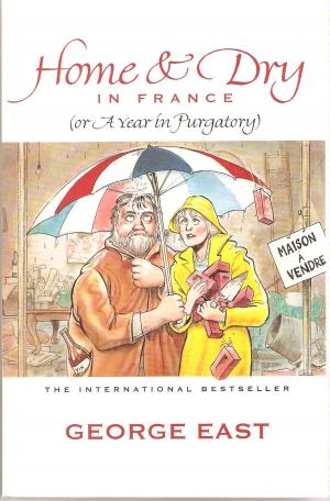 Book cover of Home & Dry in France