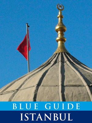 Book cover of Blue Guide Istanbul