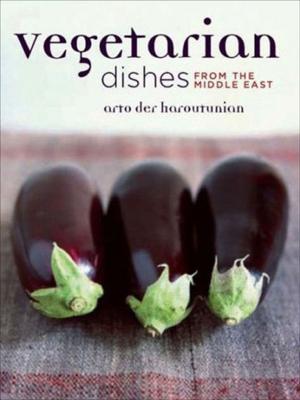 Book cover of Vegetarian Dishes from the Middle East
