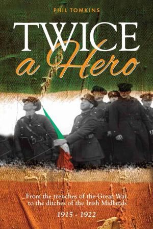 Cover of the book Twice a Hero by Allan Dawson