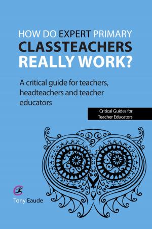 bigCover of the book How do expert primary classteachers really work? by 