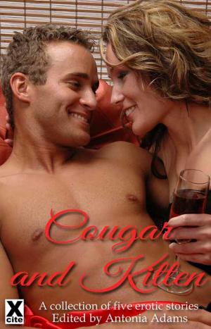 Cover of the book Cougar and Kitten by Gwen Masters, Elizabeth Cage, Landon Dixon, Phoebe Grafton, N. Vasco