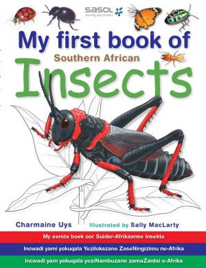 Cover of the book My First Book of Southern African Insects by Rodney Hartman