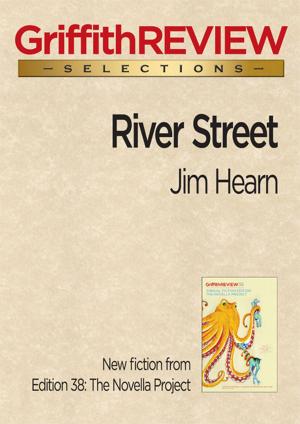 Cover of the book River Street by Bernard Beckett