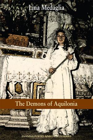Cover of the book The Demons of Aquilonia by Phyllis Rudin