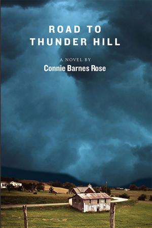 Cover of the book Road to Thunder Hill by O'Jay Dimbuh