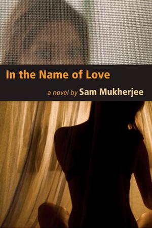 Cover of the book In the Name of Love by Ami Sands Brodoff