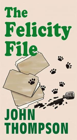 Cover of the book The Felicity File by Peter Wilson