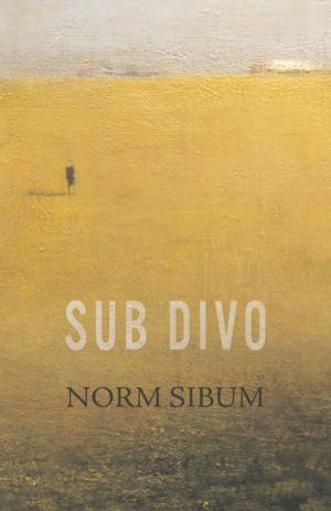 Cover of the book Sub Divo by Alison Moore