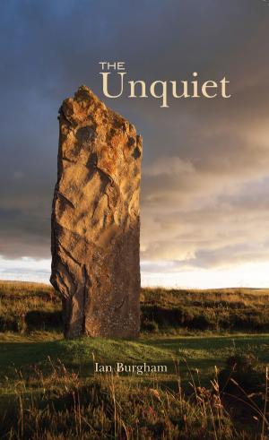 Cover of the book The Unquiet by Claudio Gaudio