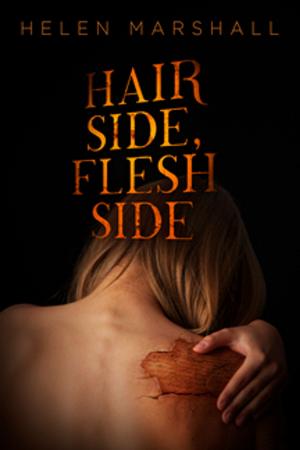 Book cover of Hair Side, Flesh Side
