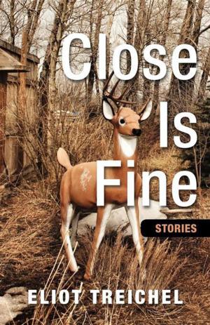 Cover of the book Close is Fine by Meagan Macvie