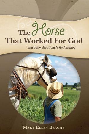 Cover of the book The Horse that Worked for God by Mary Ellen Beachy