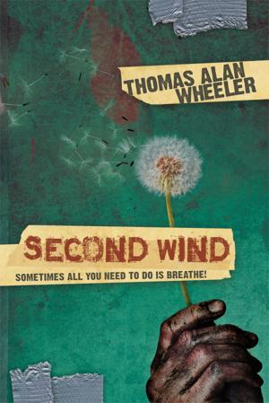 Cover of the book Second Wind by Roy O. Williams, Amy A. Castoro
