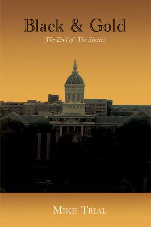 Cover of the book Black and Gold: The End of the Sixties by Brian Azarenka