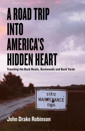 Cover of the book A Road Trip Into America's Hidden Heart - Traveling the Back Roads, Backwoods and Back Yards by Irena Krcelic