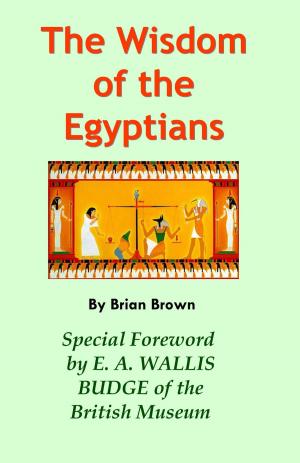 Book cover of The Wisdom of the Egyptians