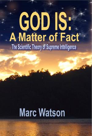Book cover of GOD IS: A Matter of Fact