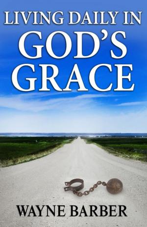Cover of the book Living Daily in God’s Grace by John Ankerberg