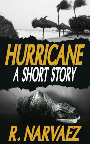 Cover of the book Hurricane by Kate Donovan