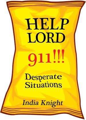 Cover of the book Help Lord 911!!! by Sola S. Olukokun