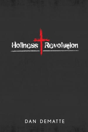 bigCover of the book Holiness Revolution by 