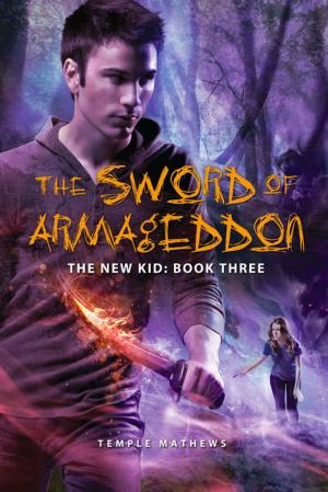 Cover of the book The Sword of Armageddon by David Gerrold