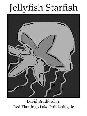 Book cover of Jellyfish Starfish
