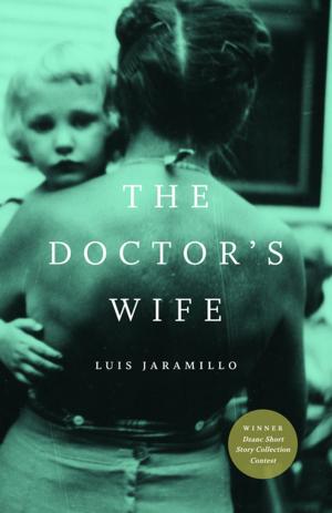 Cover of the book The Doctor's Wife by Jonathan Baumbach
